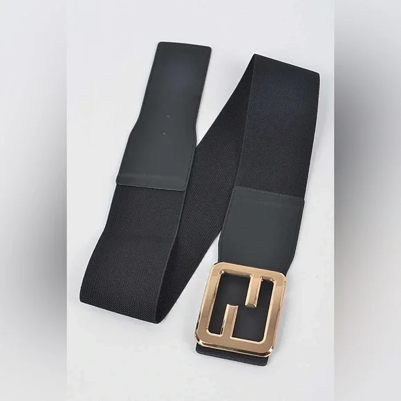 Plus Size Wide Waist Corset Statement Belt - Picture 4 of 7